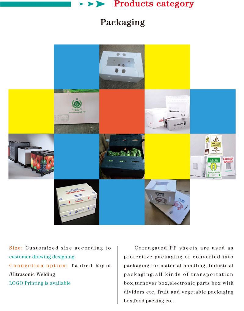 PP hollow sheet (2) PP hollow sheet (2)